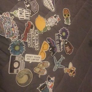 A whole lot of stickers for $15
